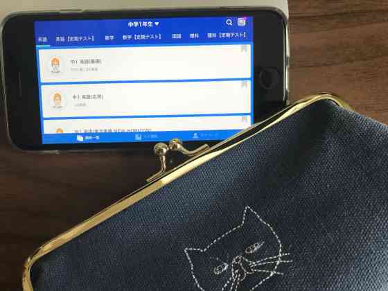 スタディサプリ　スマホ