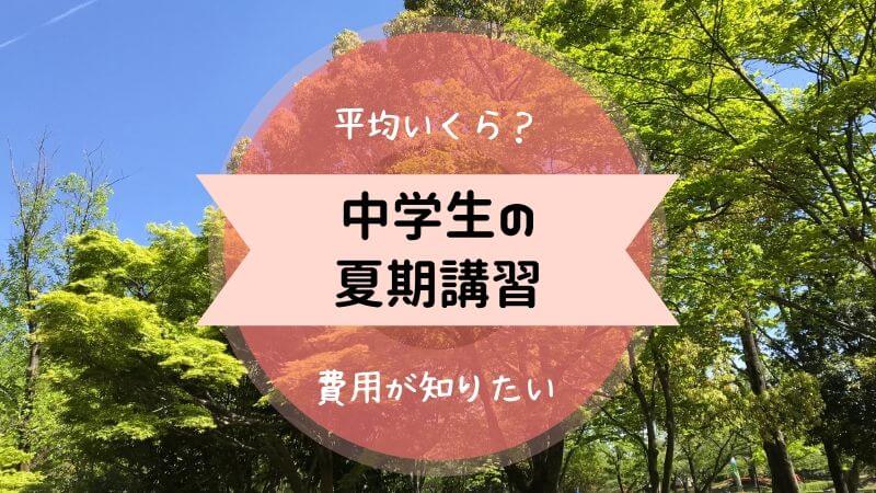 夏期講習中学生の費用は平均いくら 知らないと損する料金を調査 のろままさん通信