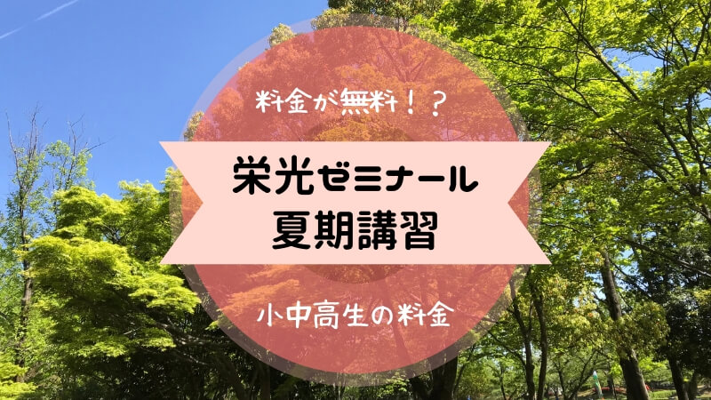 栄光ゼミナール夏期講習 の費用と口コミ 実際に受講してみた感想 のろまま通信