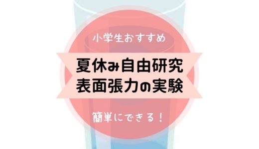 夏休み 自由研究 小学生 表面張力
