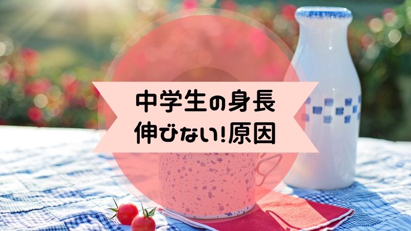 中学生 身長伸びない どうすればいい 原因と対策はコレ のろまま通信