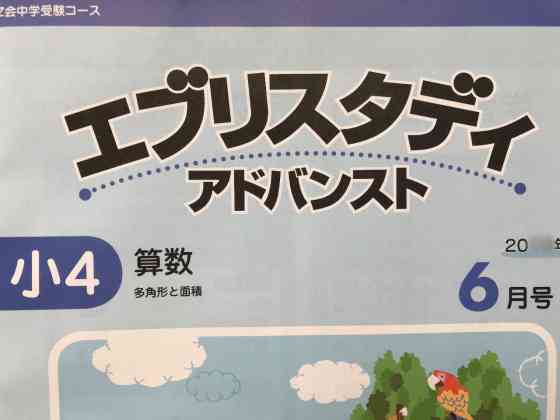 Z会小学生 口コミ 評判悪い Ipadとテキストどっちも受講し検証 のろままさん通信